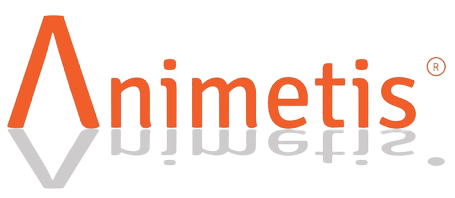 Logo_animetis_orange_retina-removebg-preview